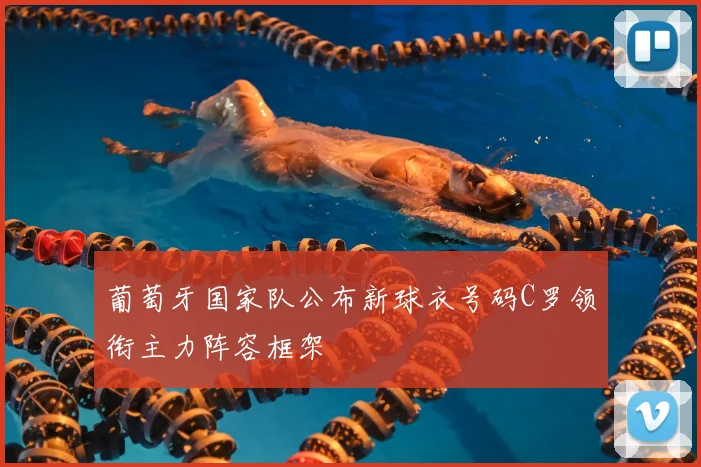 葡萄牙国家队公布新球衣号码C罗领衔主力阵容框架